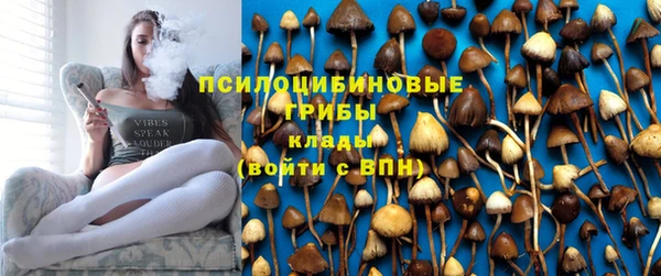 скорость Пересвет