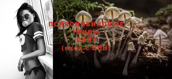 mdma Пестово